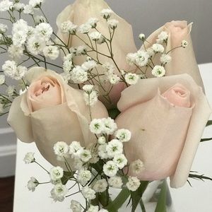 Meet your Posher, Tania